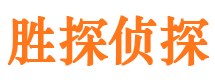 河池市场调查